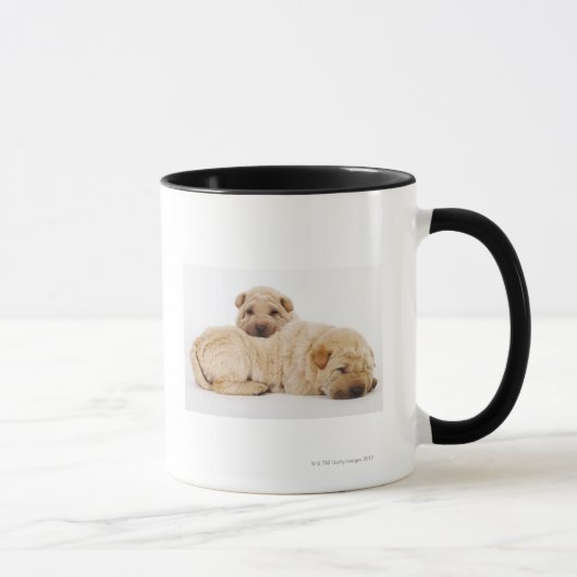 Zwei schlafende Shar Pei Welpen, Studioschuß Tasse (Rechts)