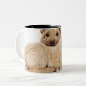 Zwei schlafende Shar Pei Welpen, Studioschuß Zweifarbige Tasse (Vorderseite Links)