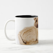 Zwei schlafende Shar Pei Welpen, Studioschuß Zweifarbige Tasse (Links)