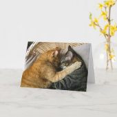 Zwei schlafende Tabby Katzen Cuddling Karte (Gelbe Blume)