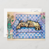 Zwei schlafende Tabby Katzen Postkarte (Vorne/Hinten)