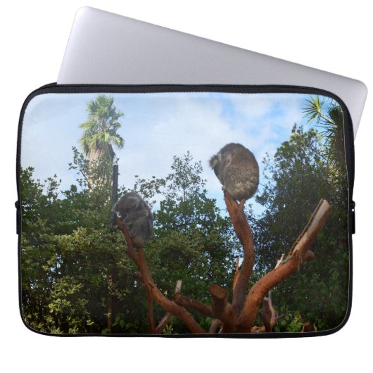Zwei schlafender Koala-Bär, Laptopschutzhülle (Vorderseite)