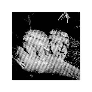 Zwei schlaflose Frogmouth Owls, Permastempel