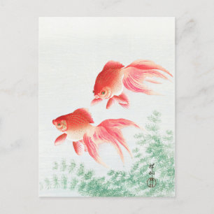 Zwei Schleier Goldfisch - Ohara Koson - Vintage Fi Postkarte