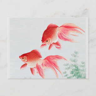Zwei Schleierfische Vintag Postkarte