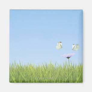 Zwei Schmetterlinge, die über Blume schweben Magnet