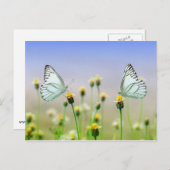 Zwei Schmetterlinge, zwei Blume Postkarte (Vorne/Hinten)