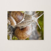 Zwei Schnecken Puzzle (Horizontal)