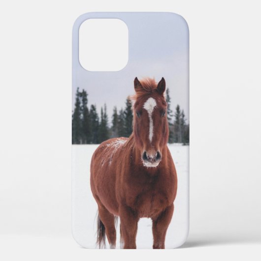 ZWEI SCHNEESCHÄDEN Case-Mate iPhone HÜLLE (Rückseite)