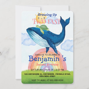 Zwei schnell Niedliche Regenbogenschildkröten Whal Einladung