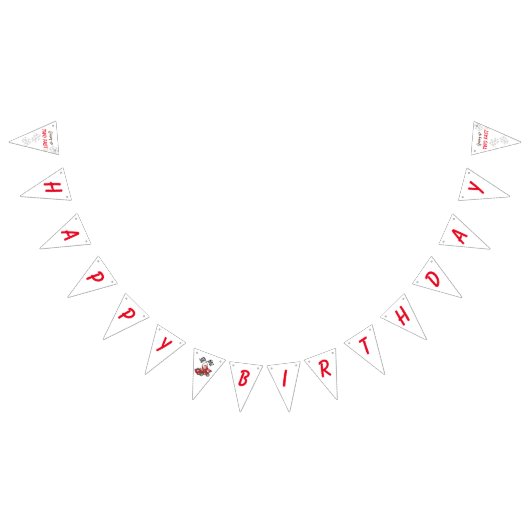 Zwei schnelle 2. Geburtstag wachsen Wimpelkette (Alle)