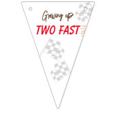 Zwei schnelle 2. Geburtstag wachsen Wimpelkette (Erste Fahne)