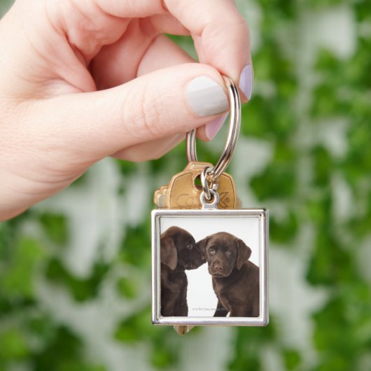 Zwei Schokolade Labrador retriever-Welpen Schlüsselanhänger (Hand)