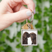 Zwei Schokolade Labrador retriever-Welpen Schlüsselanhänger (Hand)