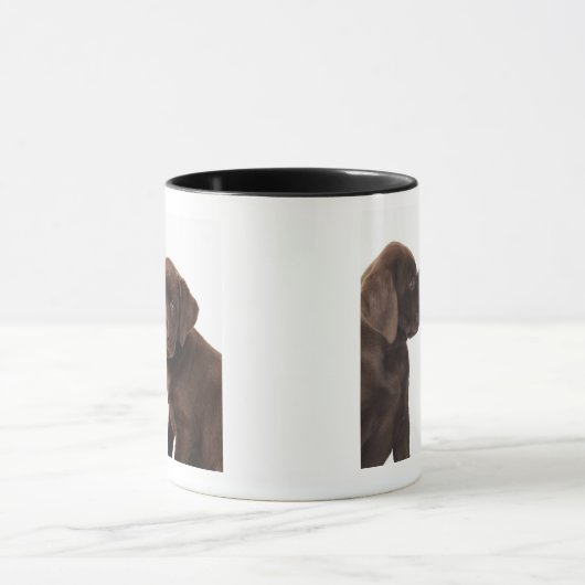 Zwei Schokolade Labrador retriever-Welpen Tasse (Zentrum)