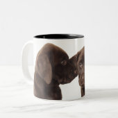 Zwei Schokolade Labrador retriever-Welpen Zweifarbige Tasse (Vorderseite Links)