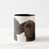 Zwei Schokolade Labrador retriever-Welpen Zweifarbige Tasse (Mittel)