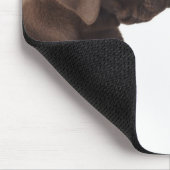 Zwei schokoladenartige Labrador Retriever Welpen Mousepad (Ecke)