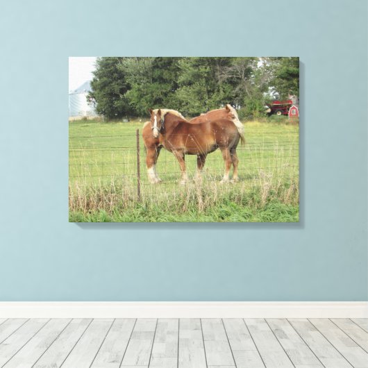 Zwei schöne, bernsteinfarbene Pferde neben einem B Leinwanddruck (Insitu (Holzboden))