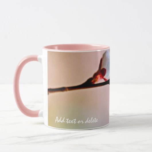 Zwei schöne japanische Apricot-Blume Tasse (Links)