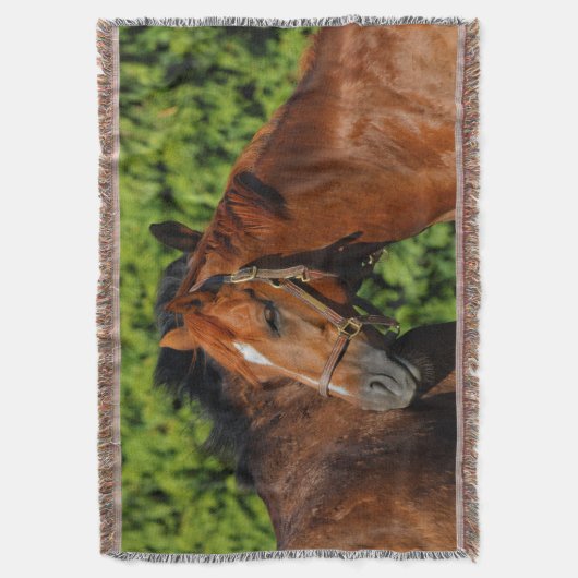 Zwei schöne Kastanienpferde in der Sonne Decke (Vorderseite Vertikal)