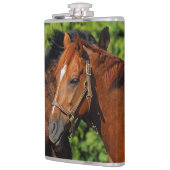 Zwei schöne Kastanienpferde in der Sonne Flachmann (Links)