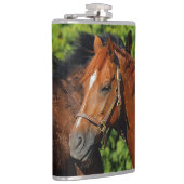 Zwei schöne Kastanienpferde in der Sonne Flachmann (Rechts)