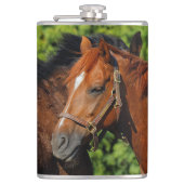 Zwei schöne Kastanienpferde in der Sonne Flachmann (Vorderseite)