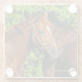 Zwei schöne Kastanienpferde in der Sonne Glasuntersetzer (Rückseite)