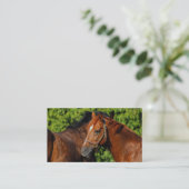 Zwei schöne Kastanienpferde in der Sonne Visitenkarte (Stehend Vorderseite)