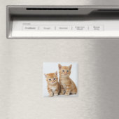 Zwei schöne Kätzchen Magnet (In Situ (Geschirrspüler))