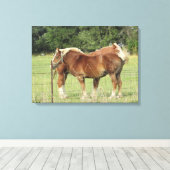 Zwei schöne, orangefarbene Pferde neben einem Baue Leinwanddruck (Insitu (Holzboden))