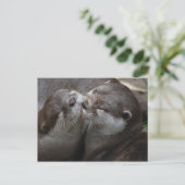 Zwei schöne Otters Postkarte (Stehend Vorderseite)