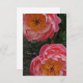 Zwei schöne rosa Peonies Mitteilungskarte (Vorne/Hinten)