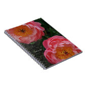 Zwei schöne rosa Peonies Notizblock (Rechte Seite)