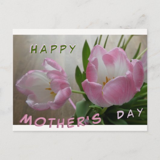 Zwei schöne rosa Tulips Muttertag Postkarte (Vorderseite)