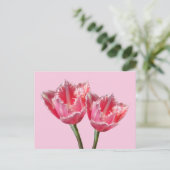 Zwei schöne rosa Tulpen Kust. BG DIY Postcard Postkarte (Stehend Vorderseite)