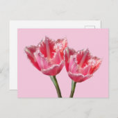 Zwei schöne rosa Tulpen Kust. BG DIY Postcard Postkarte (Vorne/Hinten)