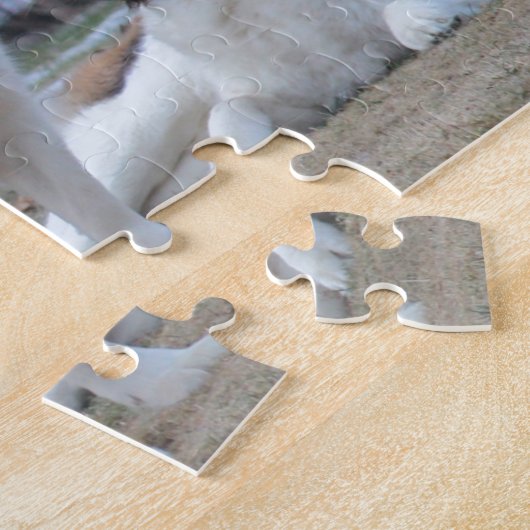 Zwei schöne Saint Bernard's Puzzle (Seite)