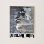 Zwei schöne Saint Bernard's Puzzle (Vertikal)