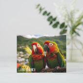 ZWEI SCHÖNE TEILE AUS DOMINIKA POSTKARTE (Stehend Vorderseite)