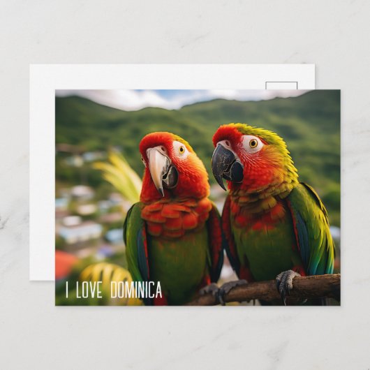 ZWEI SCHÖNE TEILE AUS DOMINIKA POSTKARTE (Vorne/Hinten)