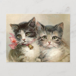 Zwei schöne Viktorianische Kätzchen. Postkarte