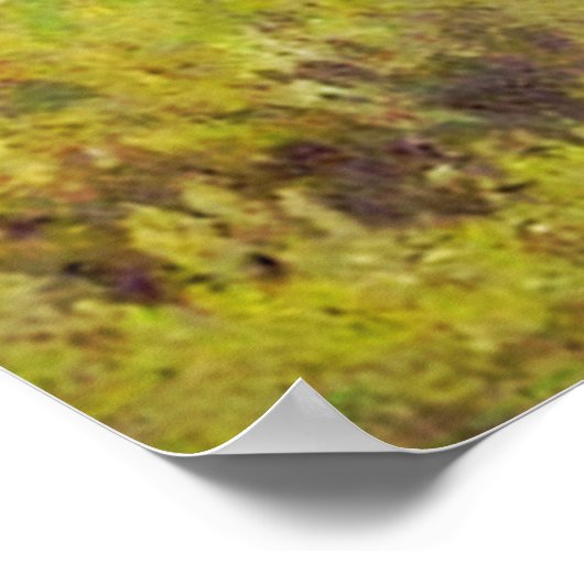 Zwei schöne Vögel Poster (Ecke)