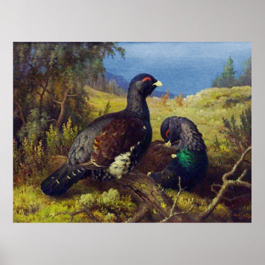 Zwei schöne Vögel Poster (Vorne)