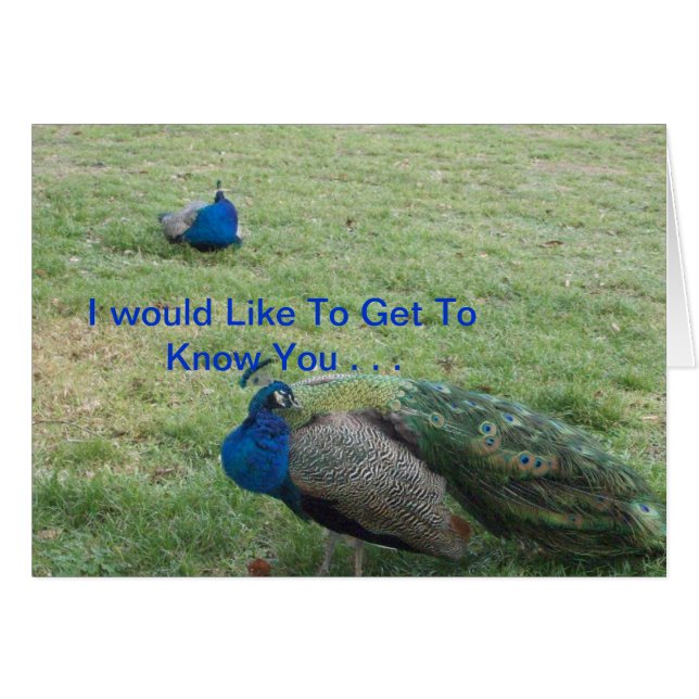 ZWEI SCHÖNEN PFAUS (Vorderseite (Horizontal))