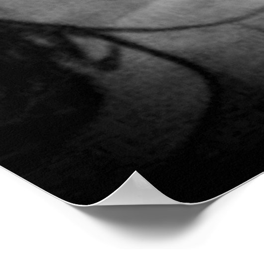 ZWEI SCHÖNHEIT-Plakat Poster (Ecke)