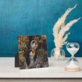 Zwei Schwalben der Babybaume Fotoplatte (InSitu)