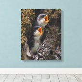 Zwei Schwalben der Babybaume Leinwanddruck (Insitu (Holzboden))