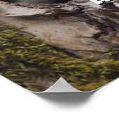 Zwei Schwalben der Babybaume Poster (Ecke)